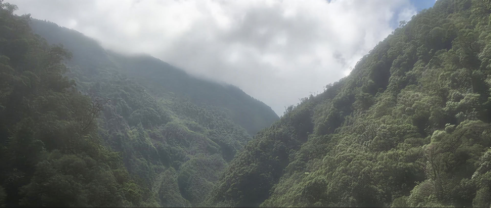 Ayahuasca Retreat