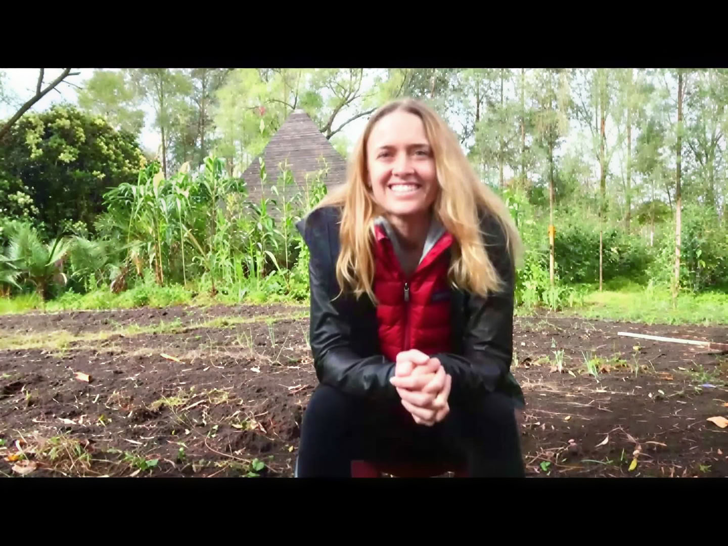 Ayahuasca Retreat