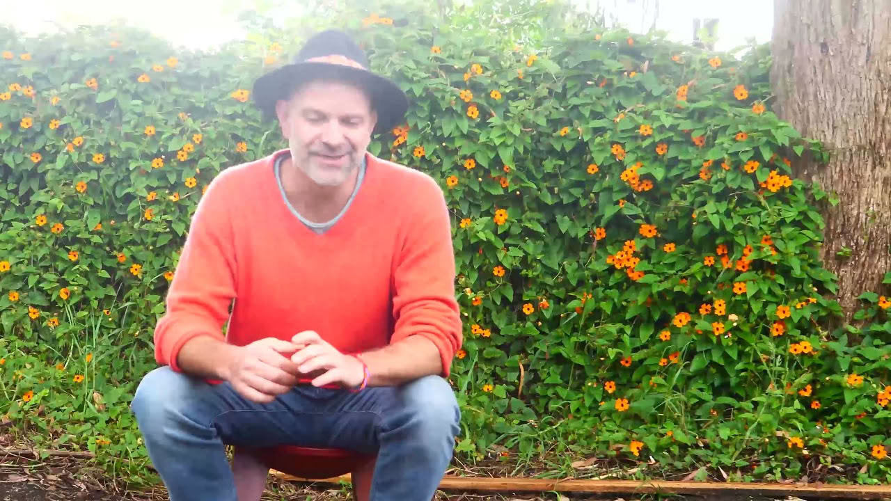 Ayahuasca Retreat