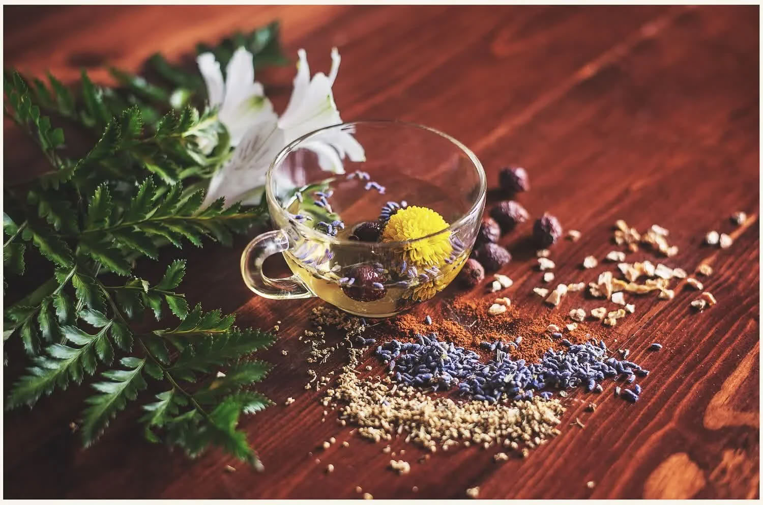 Shamana Yoga Retreat - The Alchemy of Living