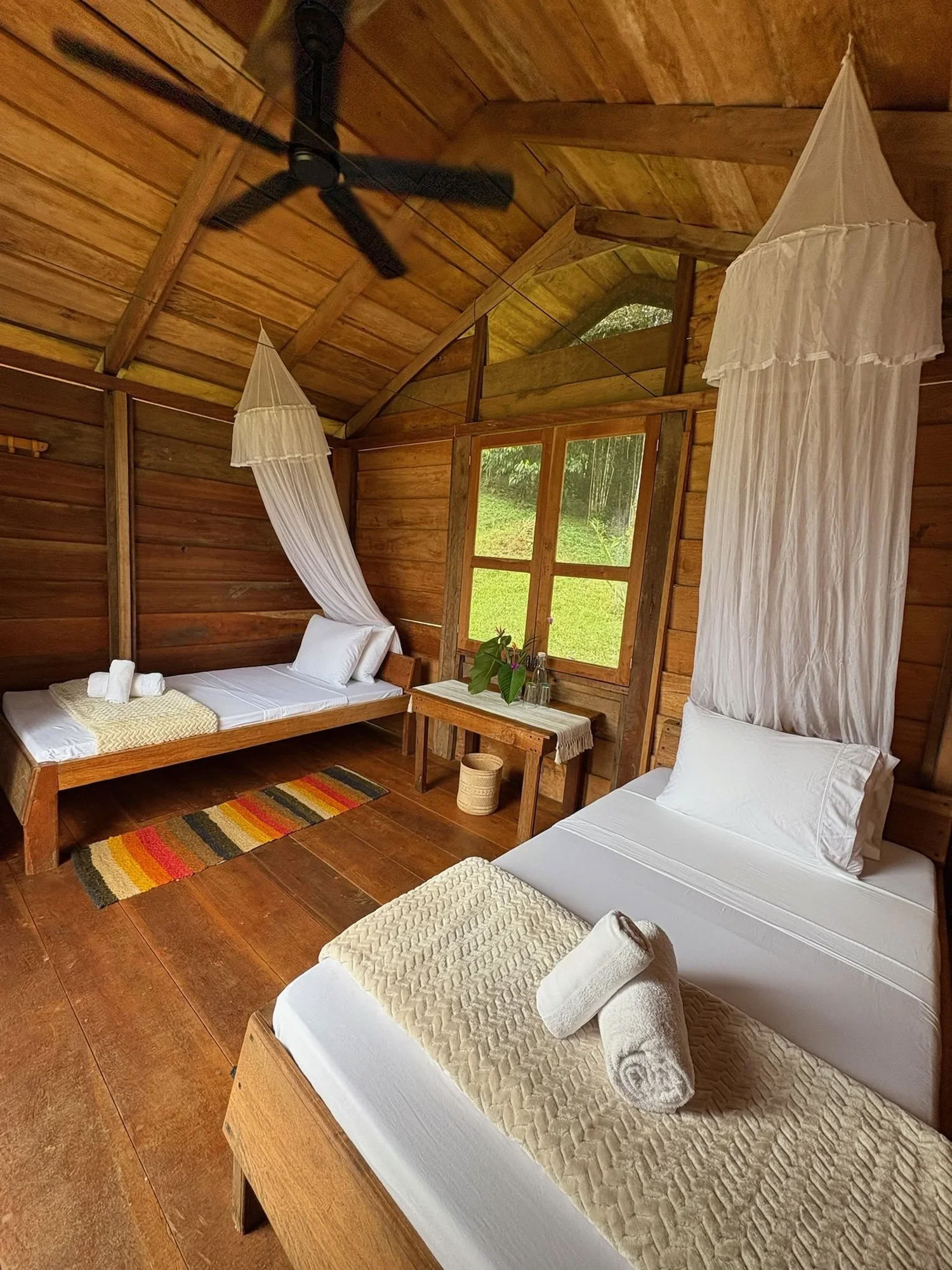 4-Day Ayahuasca | Capricorn Full Moon — Jungle Harmony