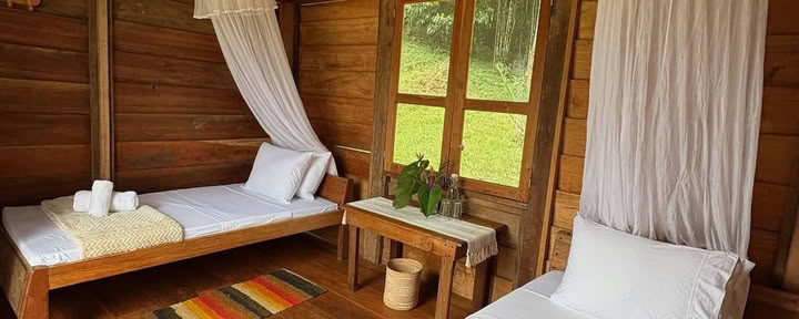 8-Day | New Year Retreat — Jungle Harmony