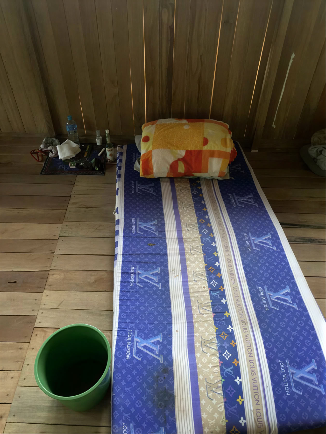Ayahuasca Ritual Ceremony