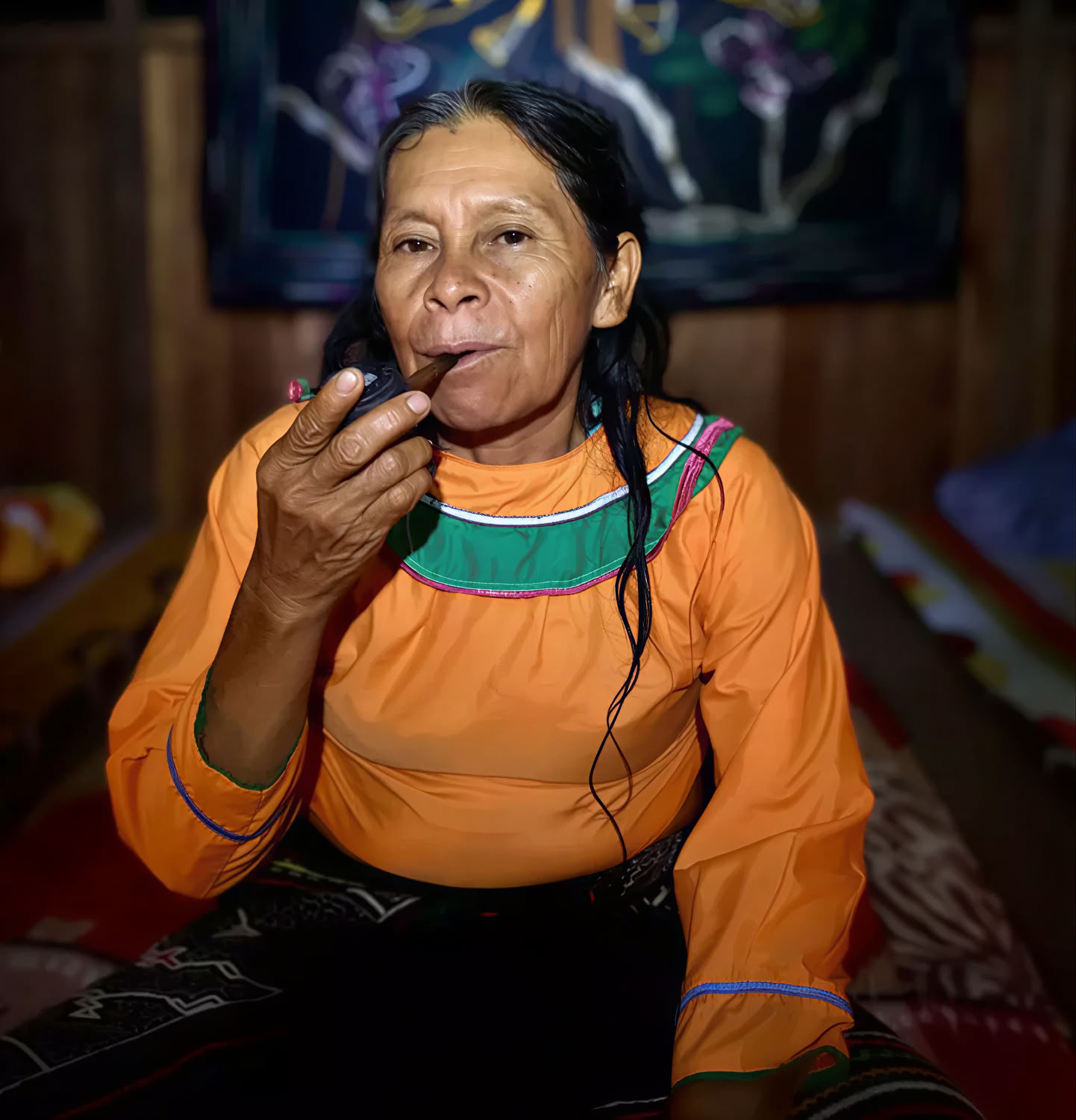 Master Plant Dieta and Plant Spirit Medicine