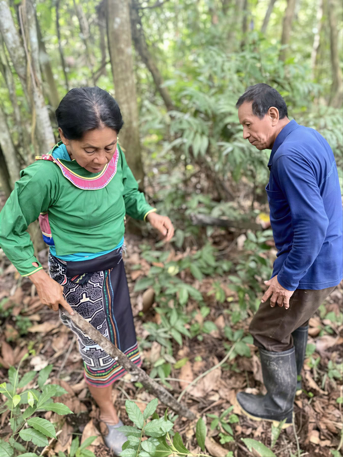 Master Plant Dieta and Plant Spirit Medicine