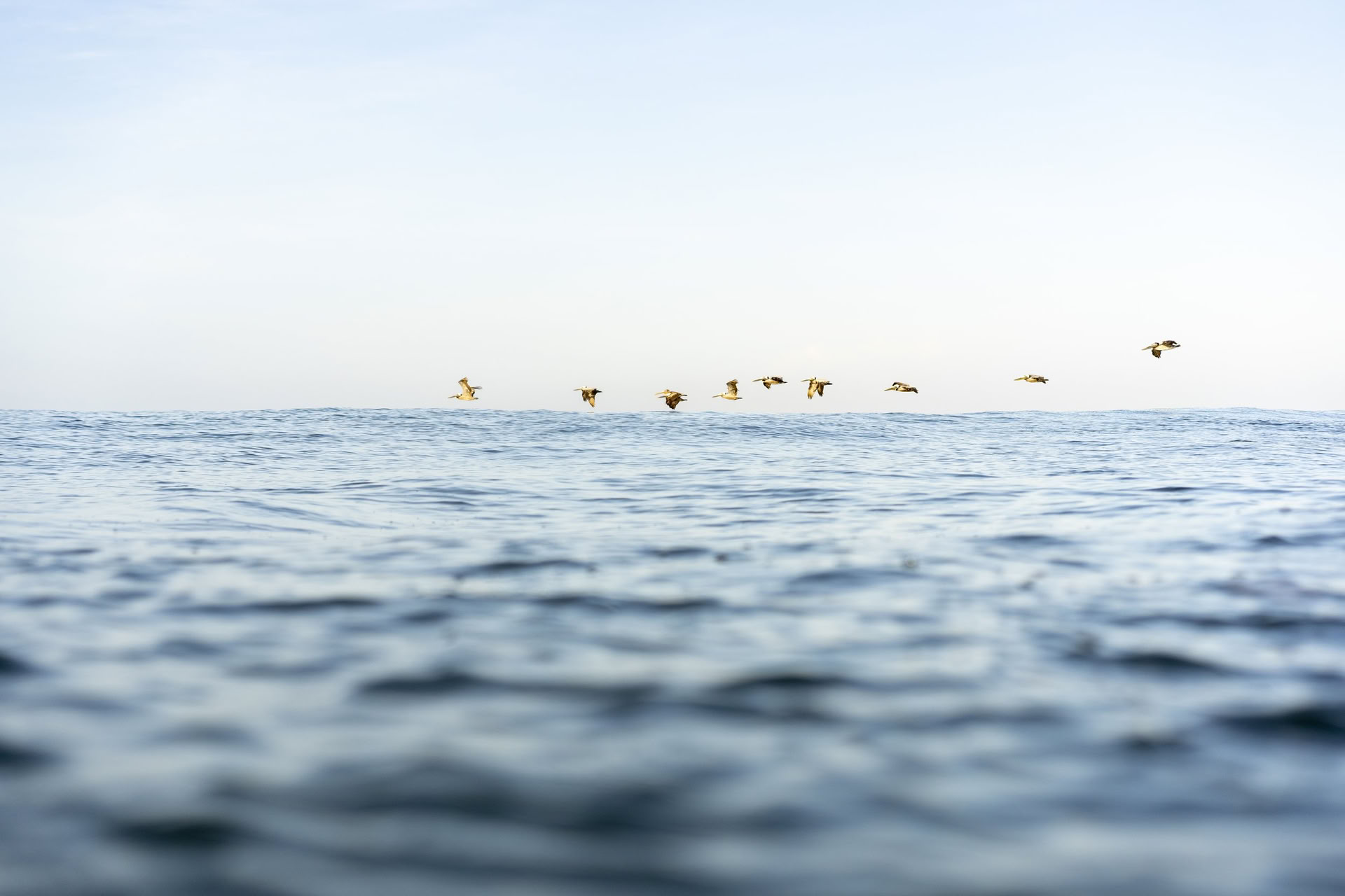 Pure Presence Yoga Retreat