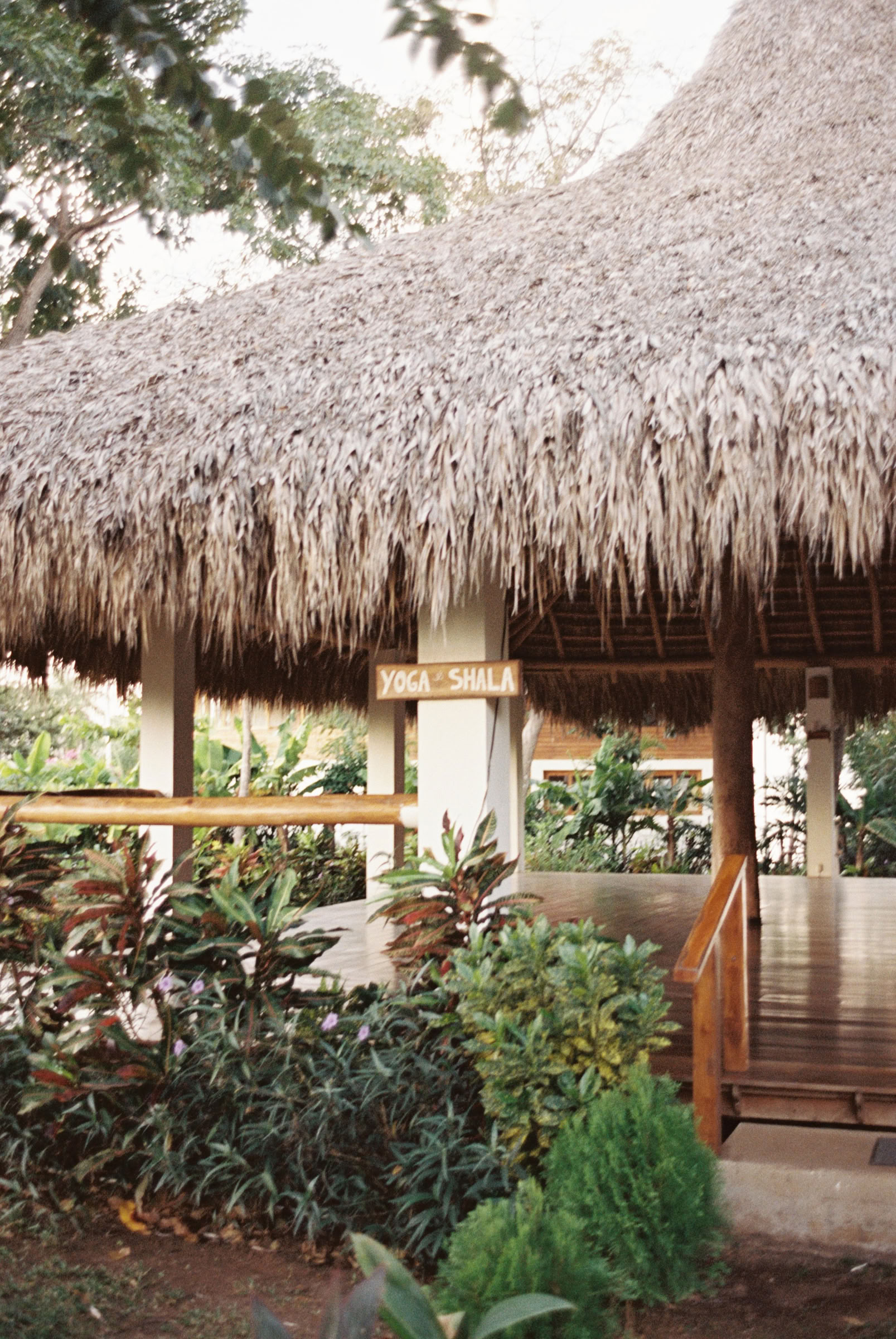 Pure Presence Yoga Retreat