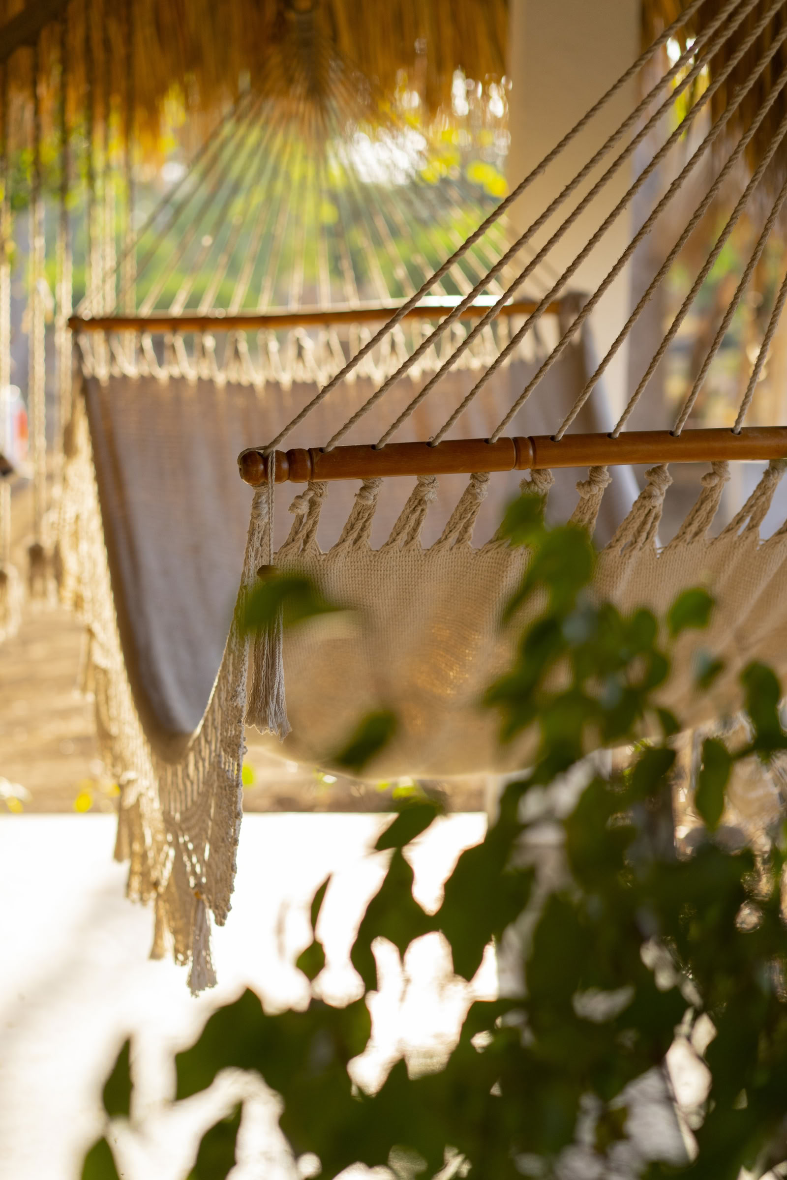 Sol Space Yoga Retreat