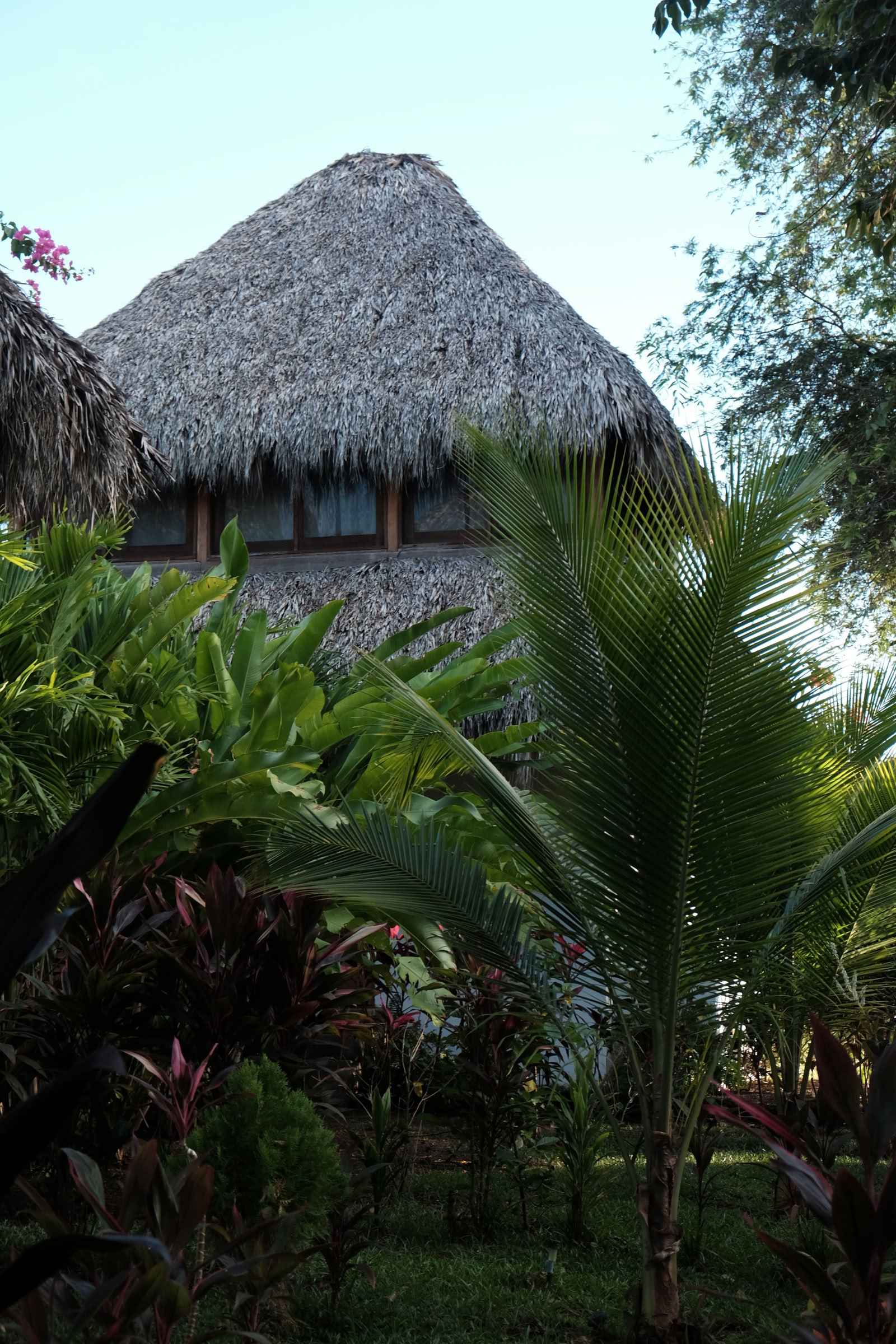 Sol Space Yoga Retreat