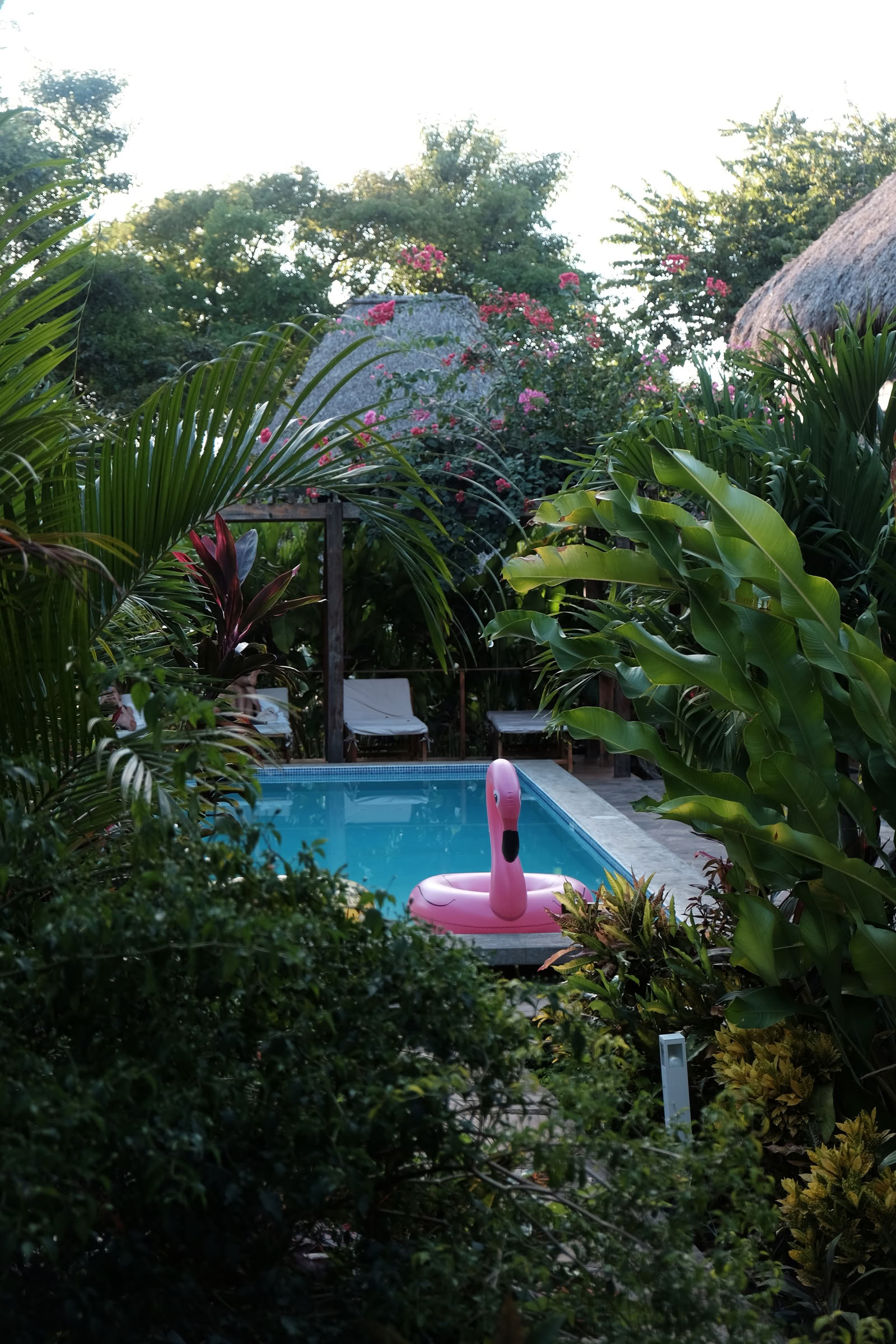 Sol Space Yoga Retreat