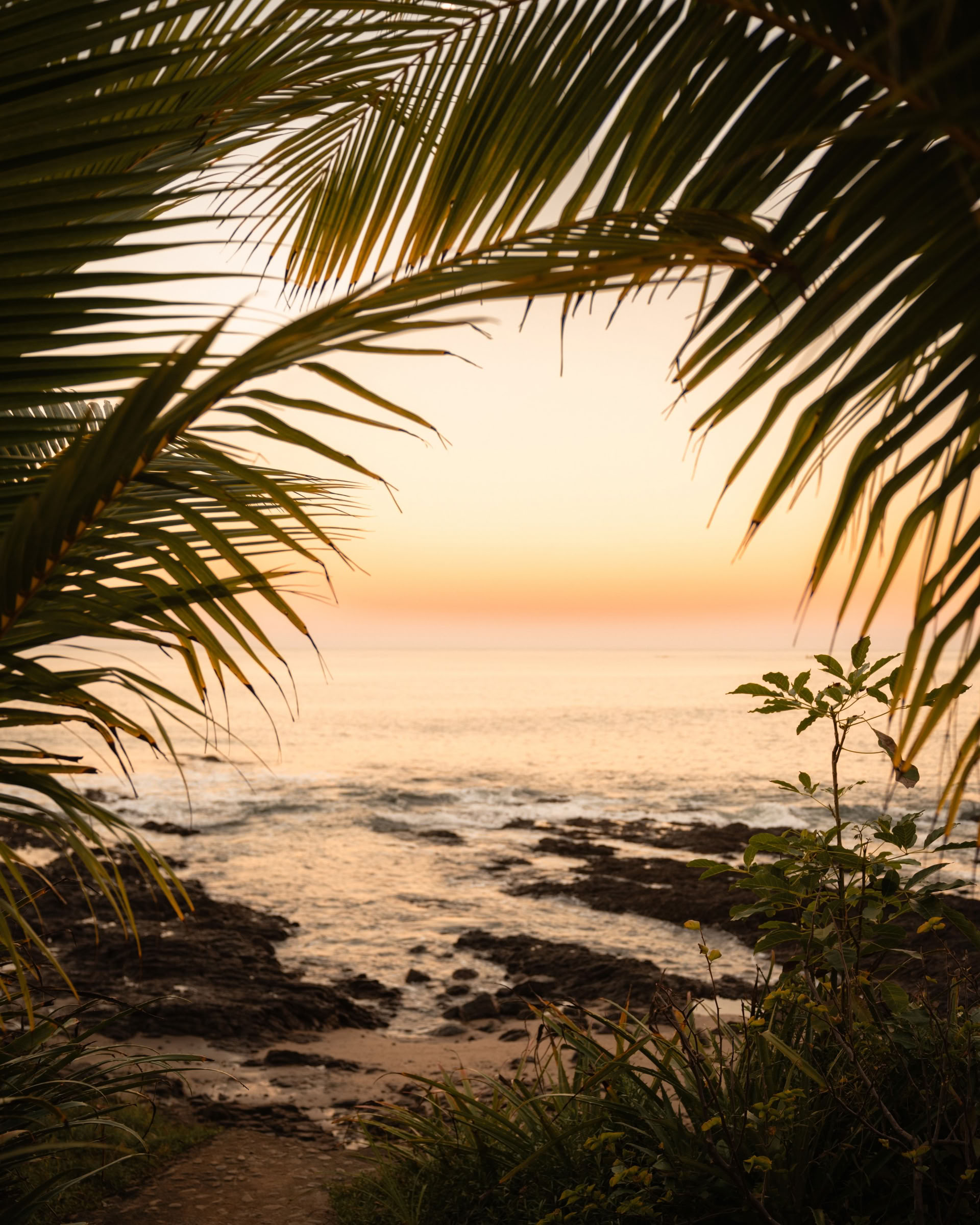 Sol Space Yoga Retreat