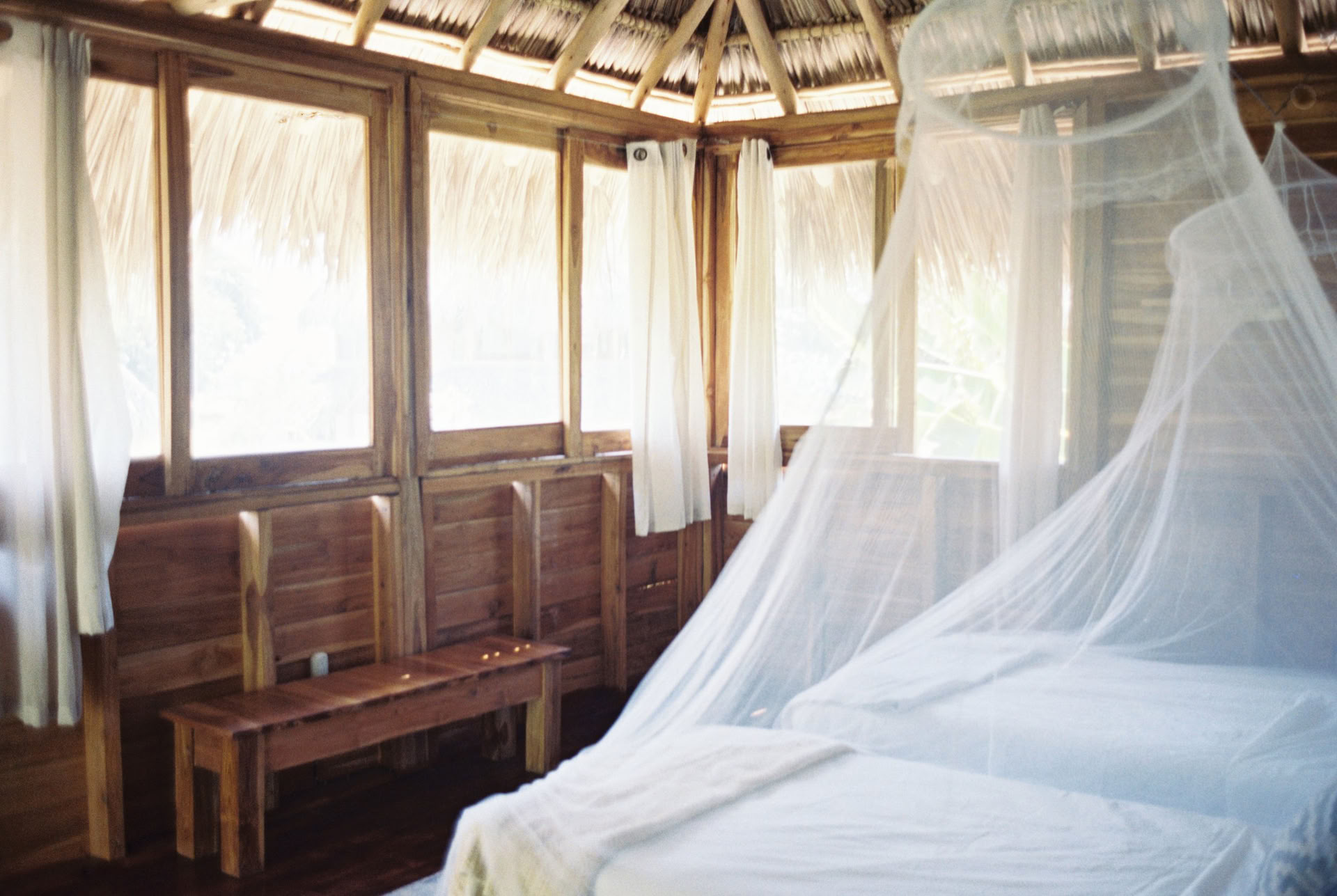 Wild Nicaragua Yoga Retreat