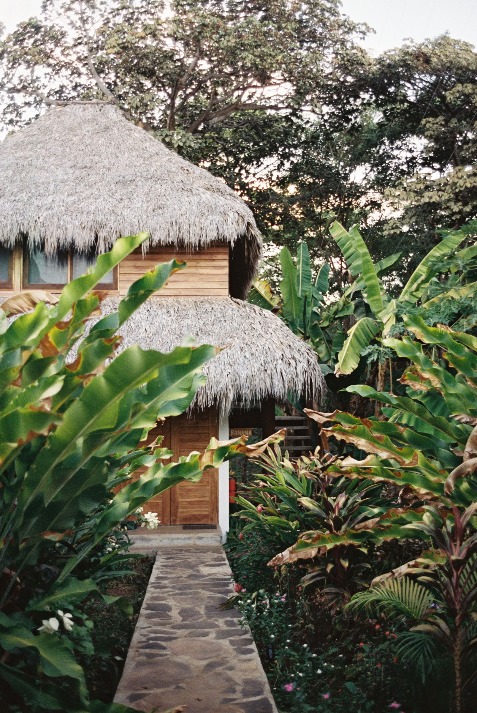 Wild Nicaragua Yoga Retreat