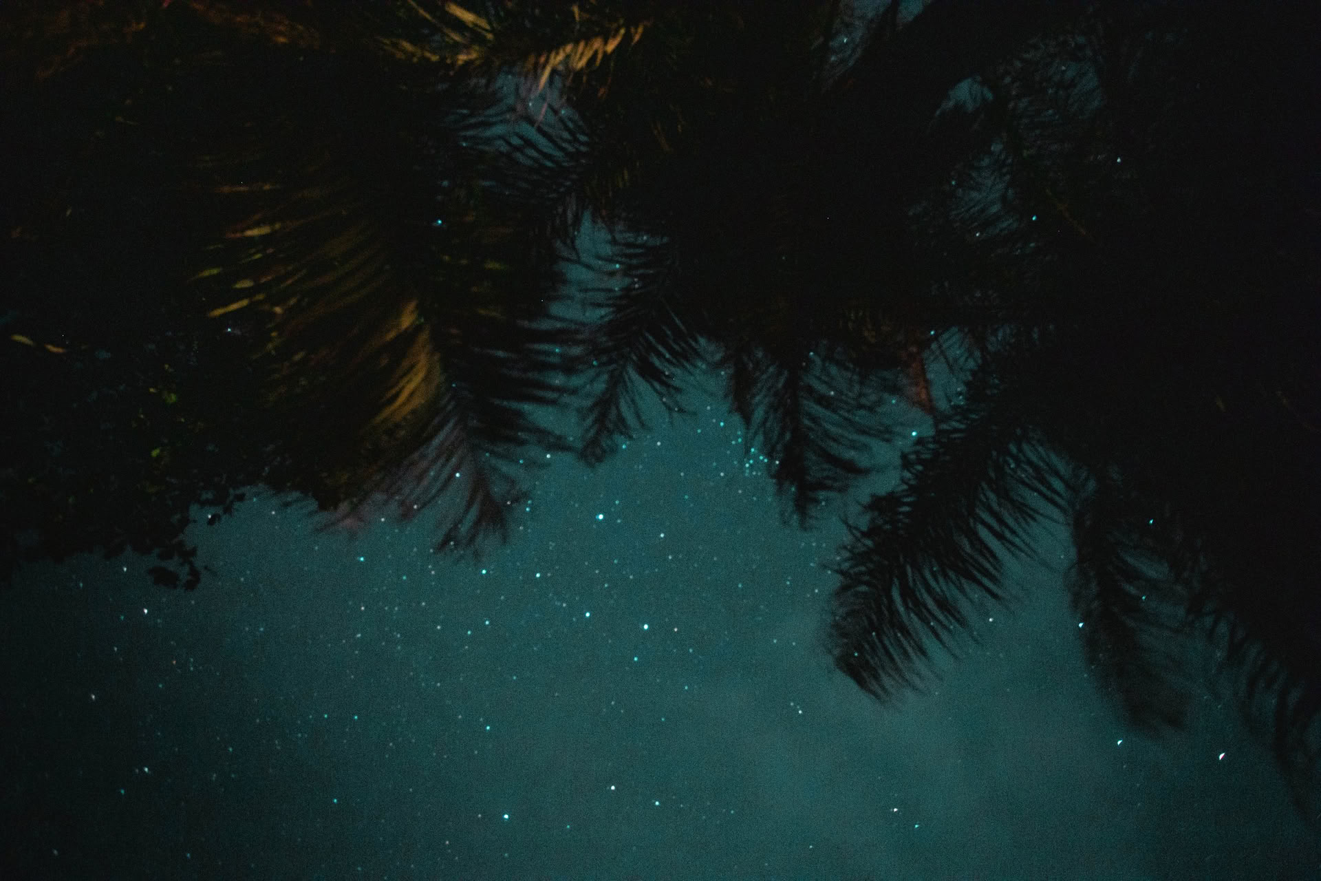 Wild Nicaragua Yoga Retreat