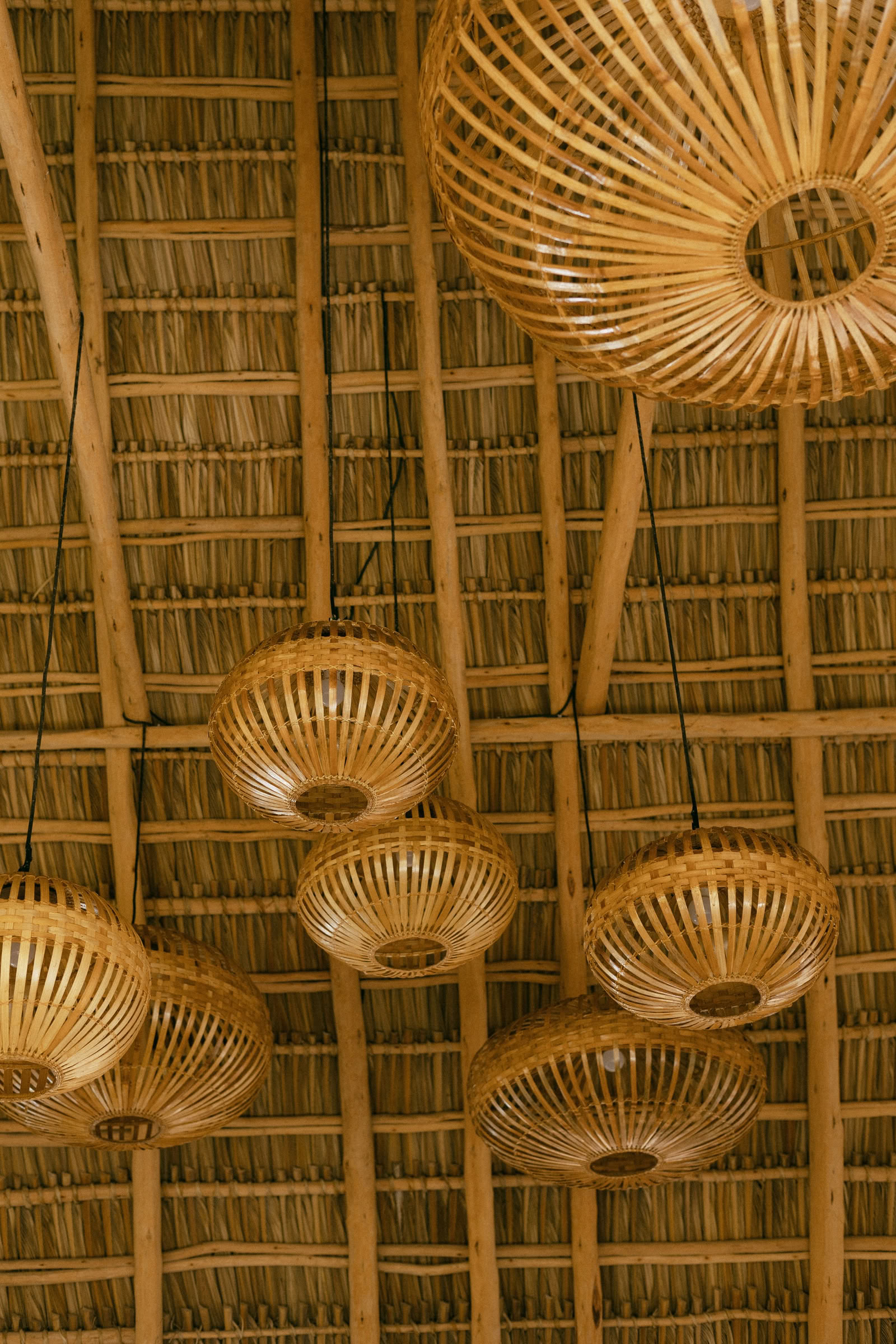 Wild Nicaragua Yoga Retreat