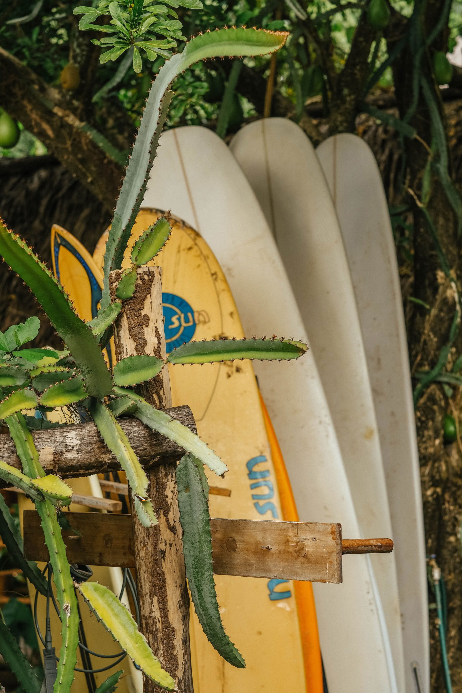 Self Discovery Retreat in Sintra, Portugal