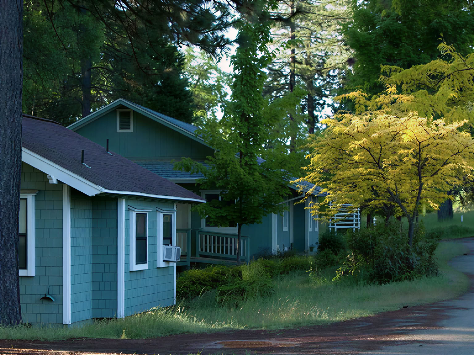 Yoga Retreat: Relax, Rejuvenate, and Restore