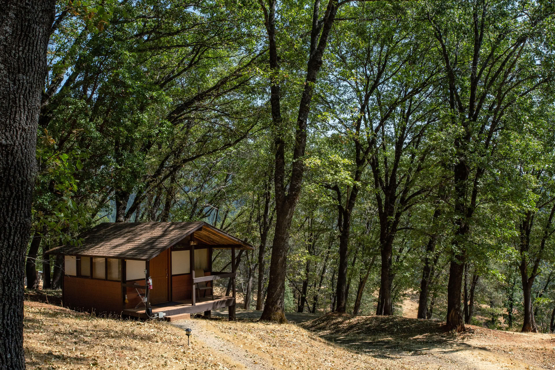Yoga Retreat: Relax, Rejuvenate, and Restore