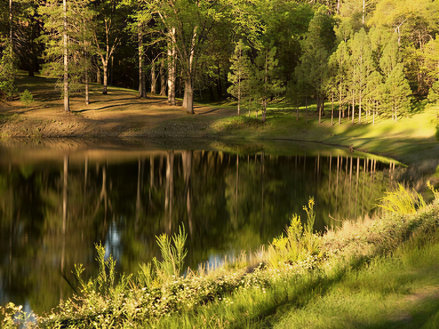 Yoga Retreat: Relax, Rejuvenate, and Restore