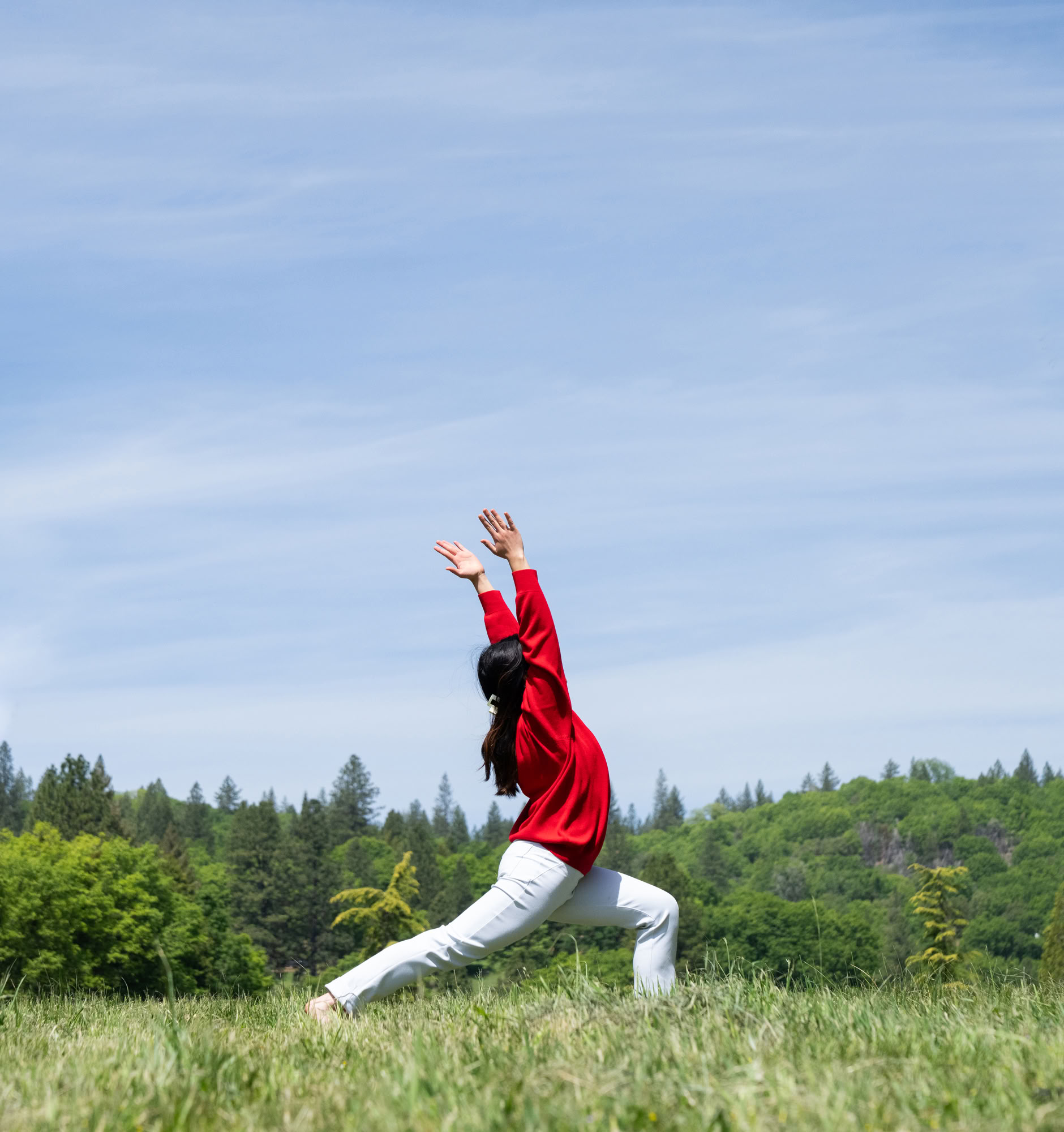 Foundations of Ananda Yoga