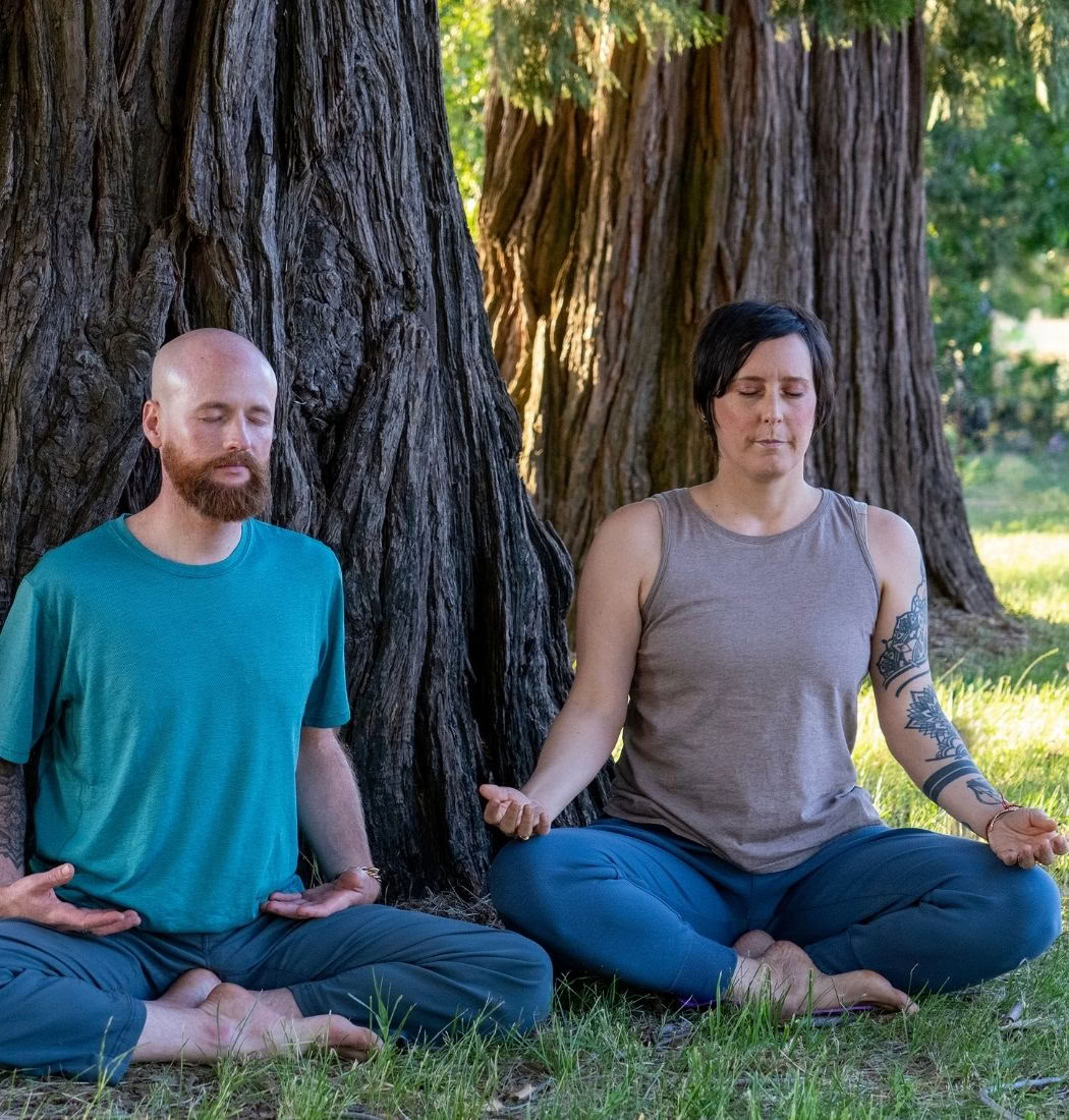 Foundations of Ananda Yoga