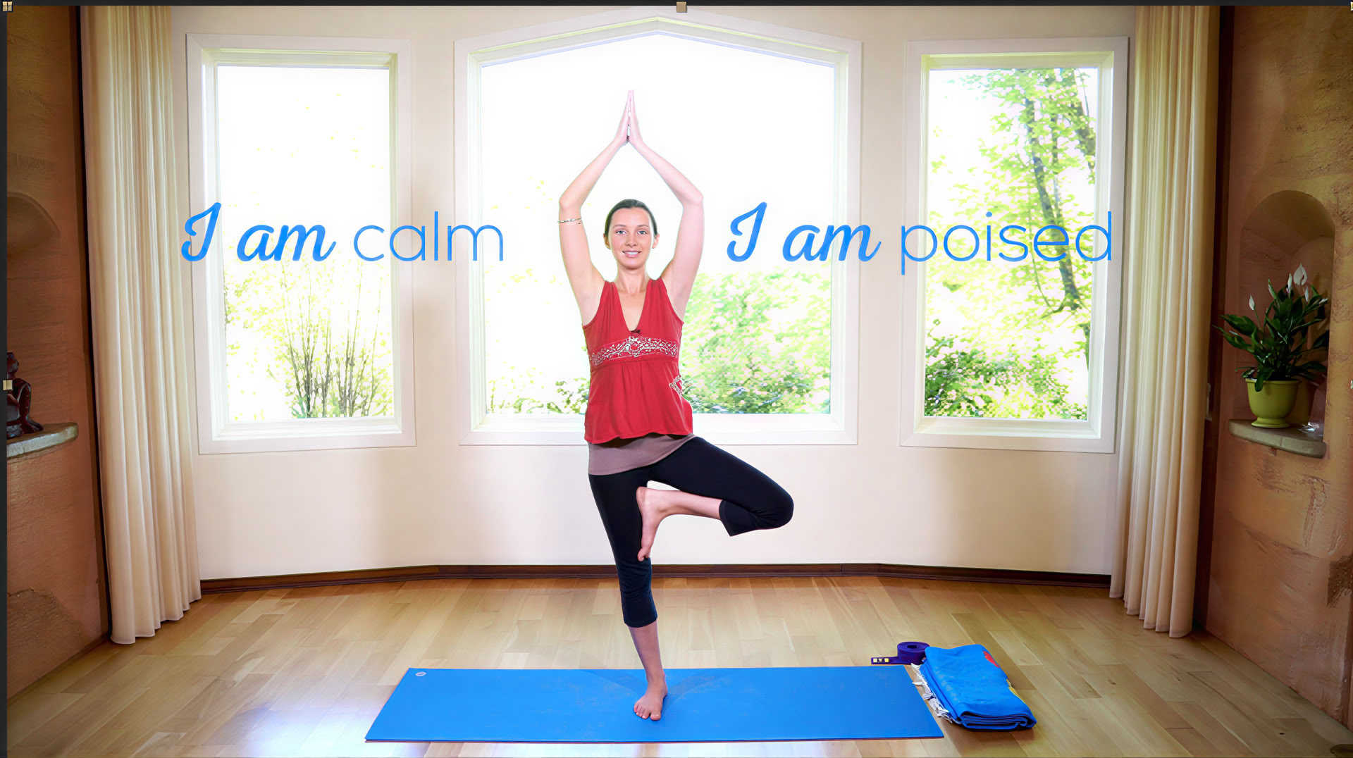 Foundations of Ananda Yoga