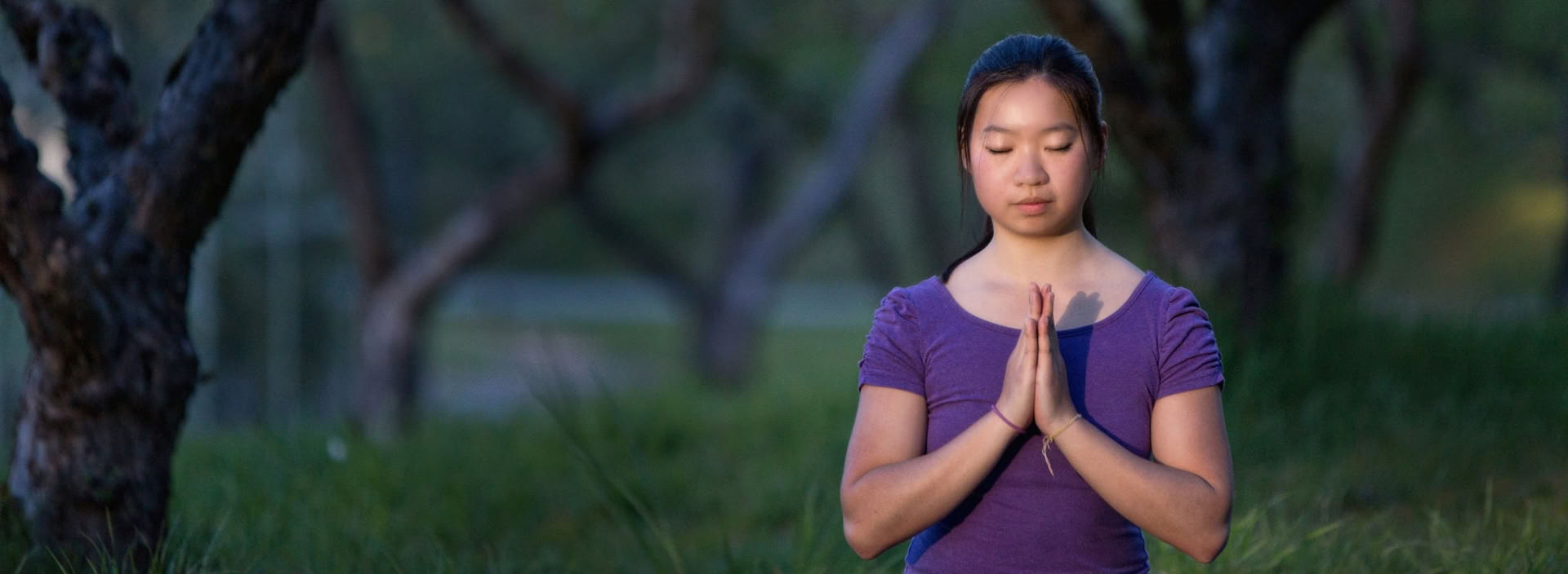 Foundations of Ananda Yoga