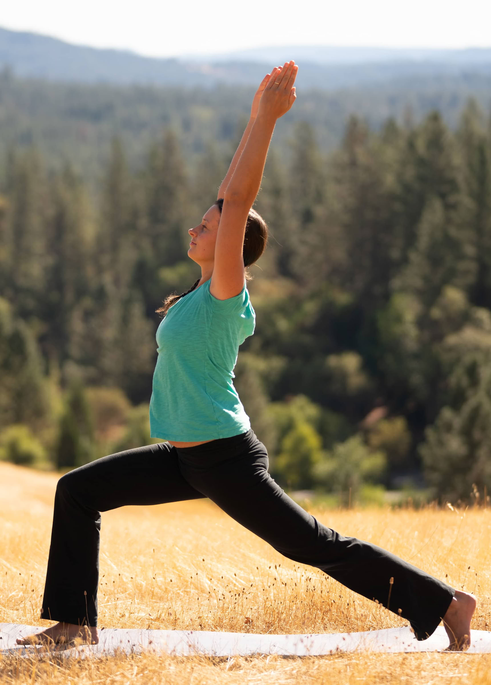 Foundations of Ananda Yoga