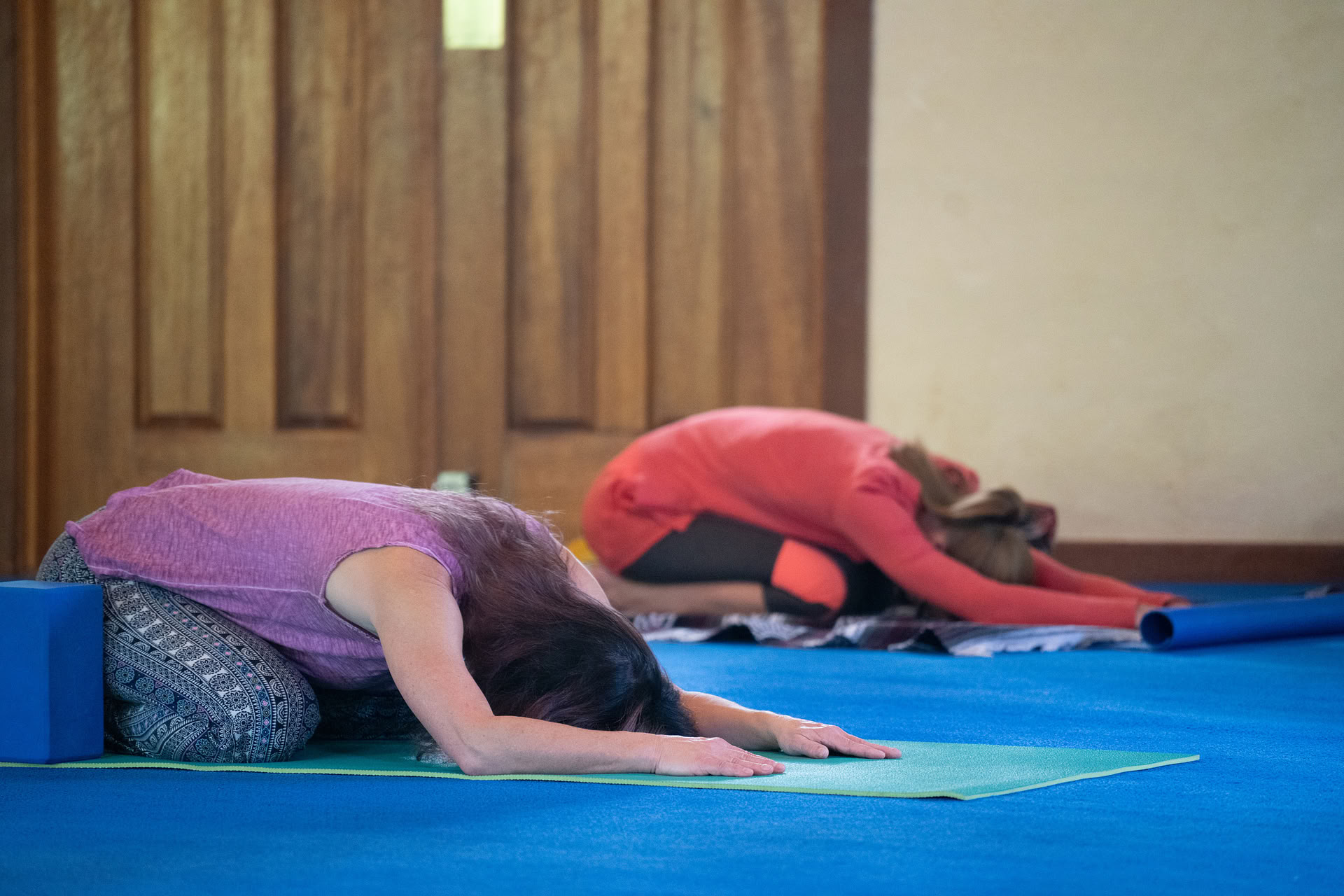 Foundations of Ananda Yoga