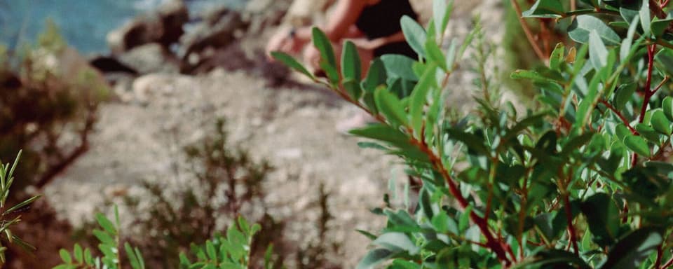 Mix & meet half-day retreat Ibiza