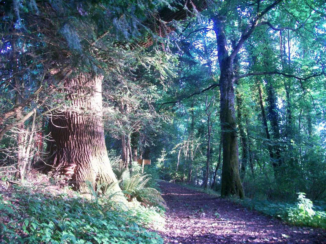 Weekend Retreats in Ireland