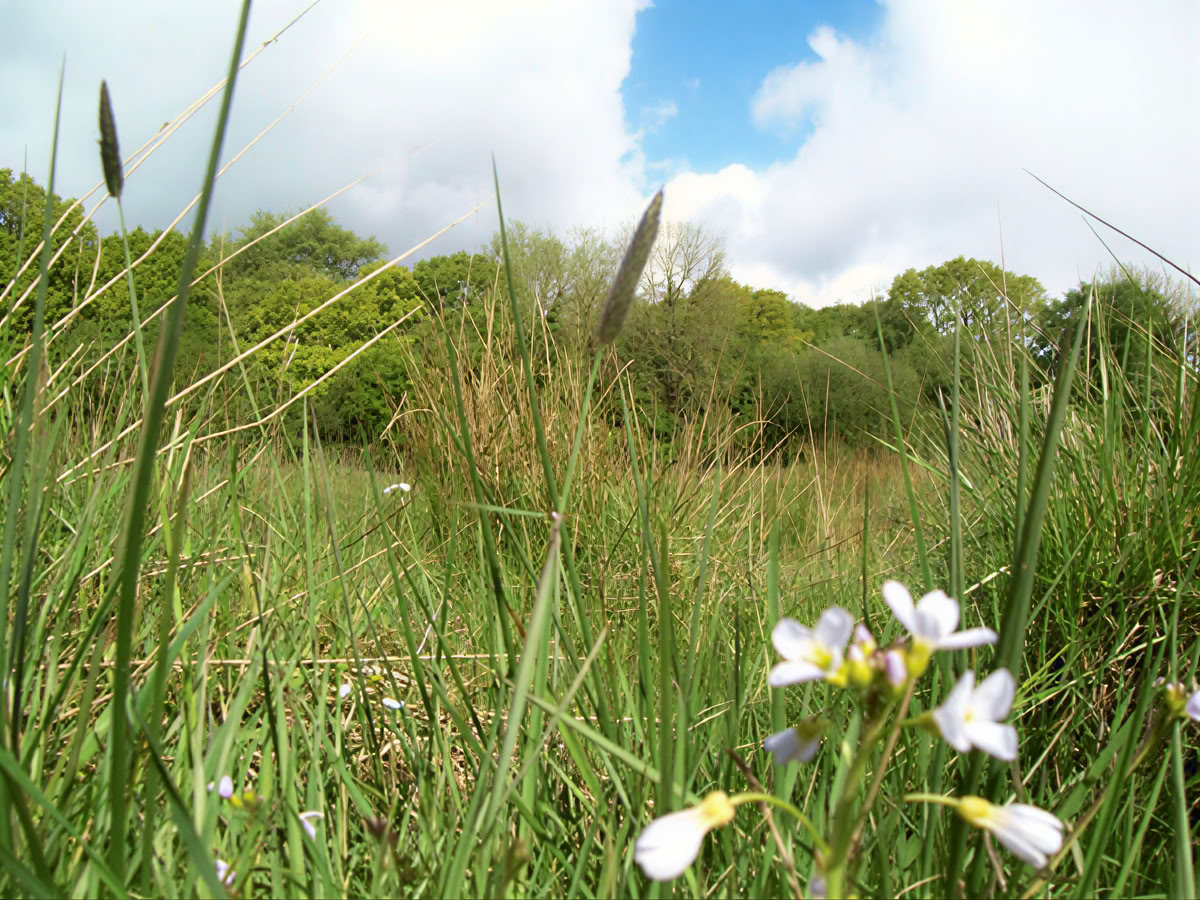 May 29-31 Silent Retreat (Bank Holiday IE -Monday)