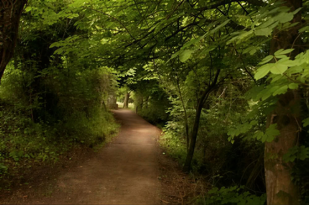 July 10-12 Oriental Detox with Tai Chi and Qigong