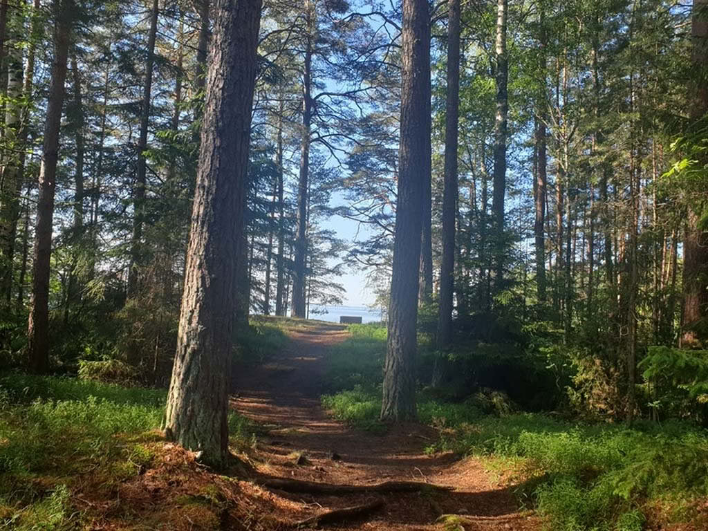6 Day Therapeutic Art & Yoga Wellness Retreat