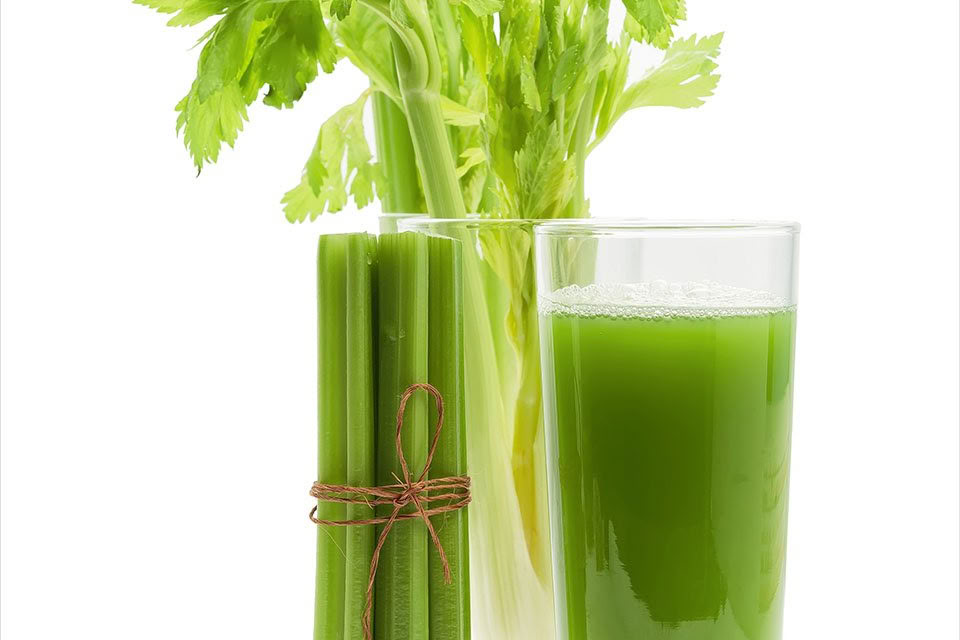 10 Day Juice Fasting & Detox Retreat – 19th - 24th Jun 2026