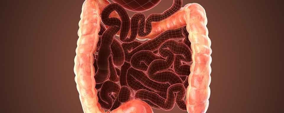 7 Day Colon & Liver Cleanse – 19th - 28th Jun 2026
