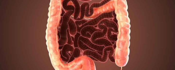 7 Day Colon & Liver Cleanse – 4th - 13th Sep 2026