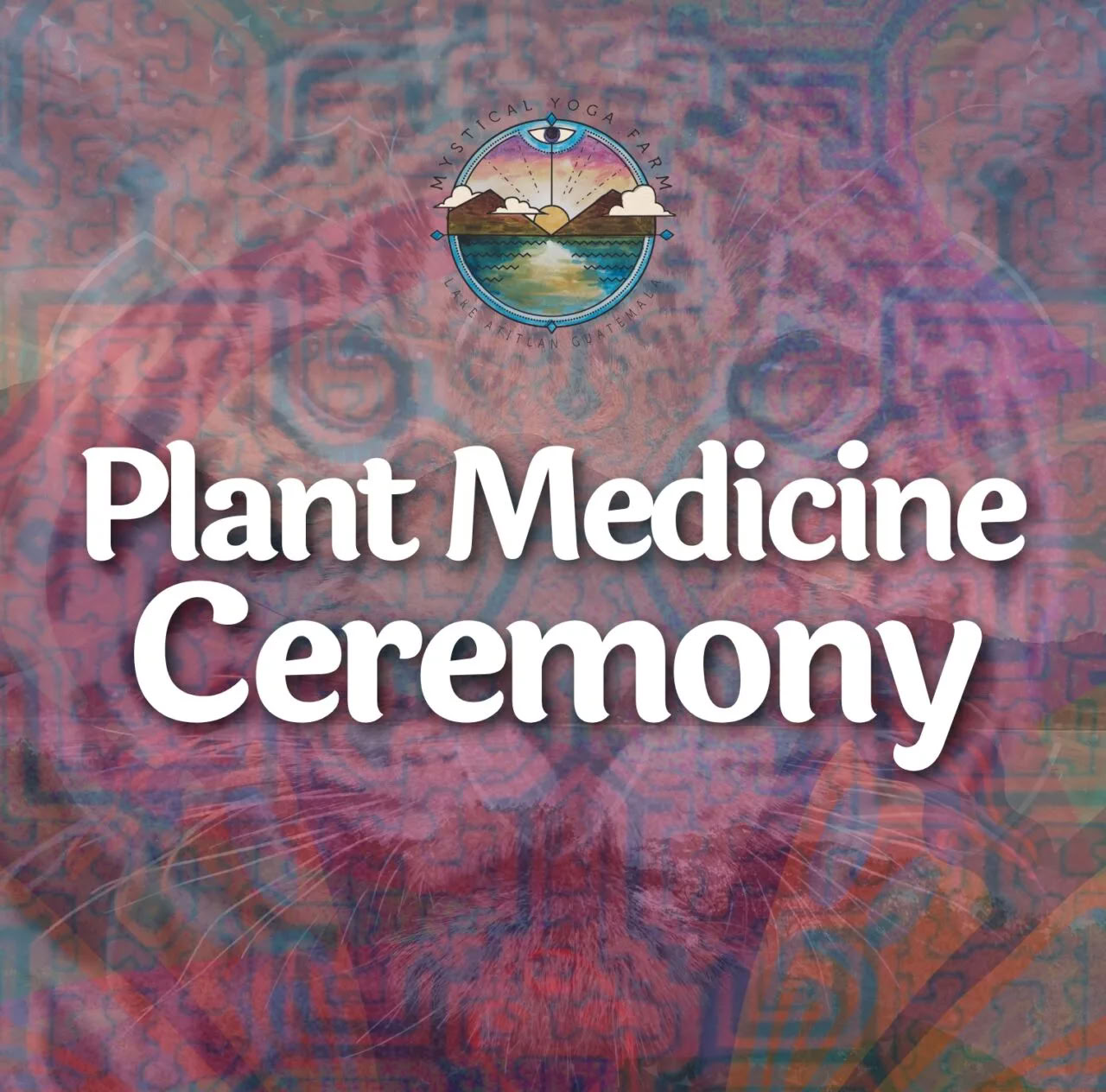 Plant Medicine Ceremonies