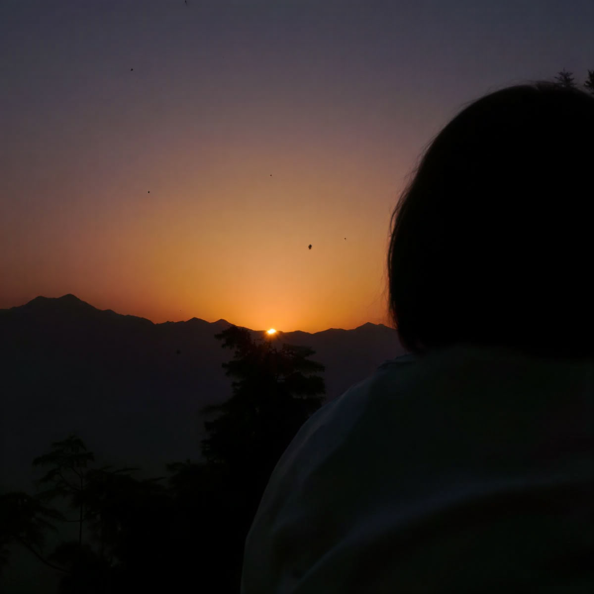 100-Hour Yoga Teacher Training in Rishikesh
