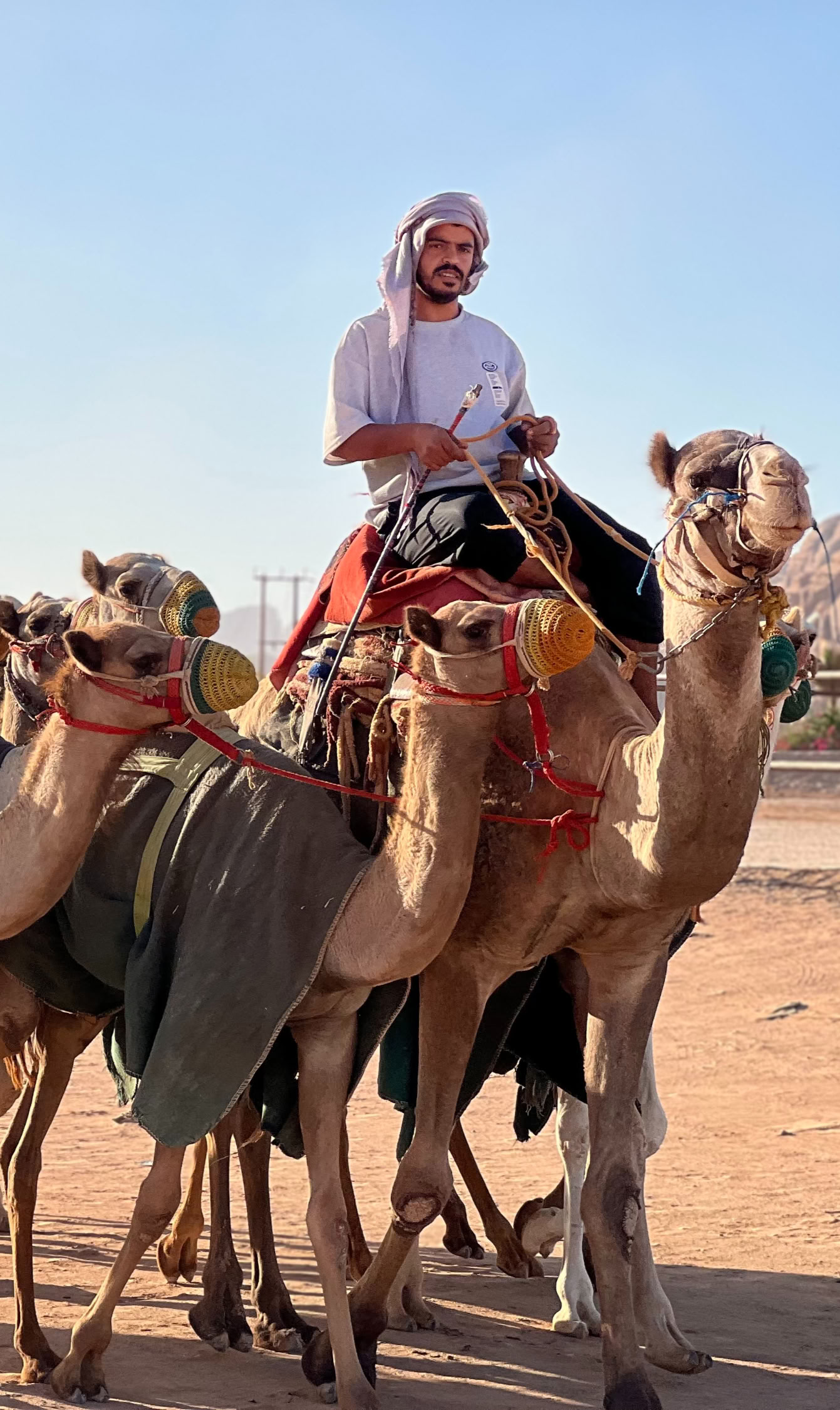 5 Day Jordan Wanderer Tour