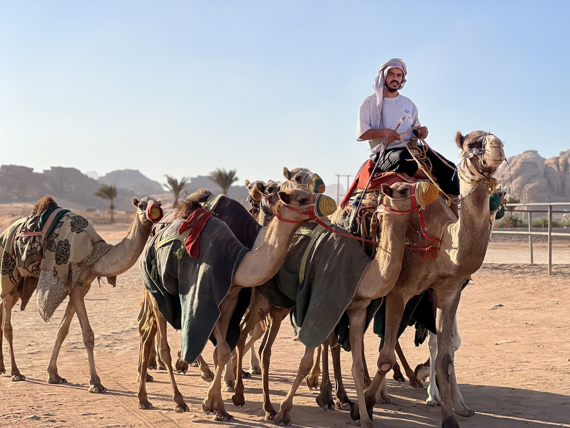 4 Days Camel Trekking Adventure with Bedouins in Wadi Rum Jordan
