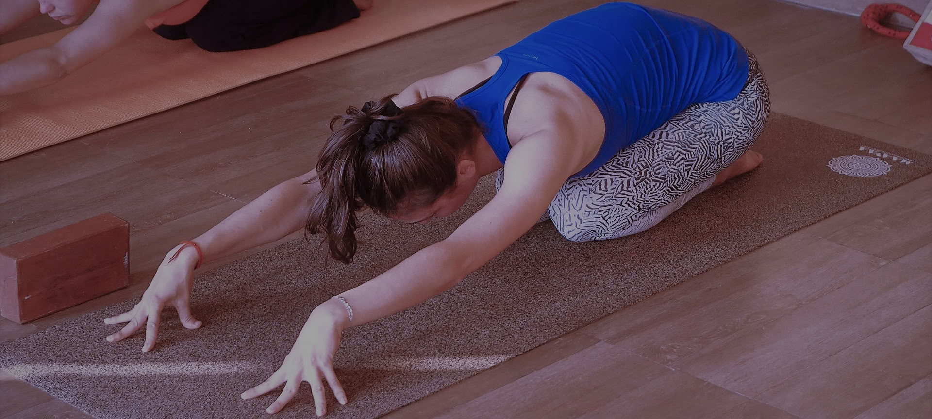 300 Hour Traditional Yoga TTC