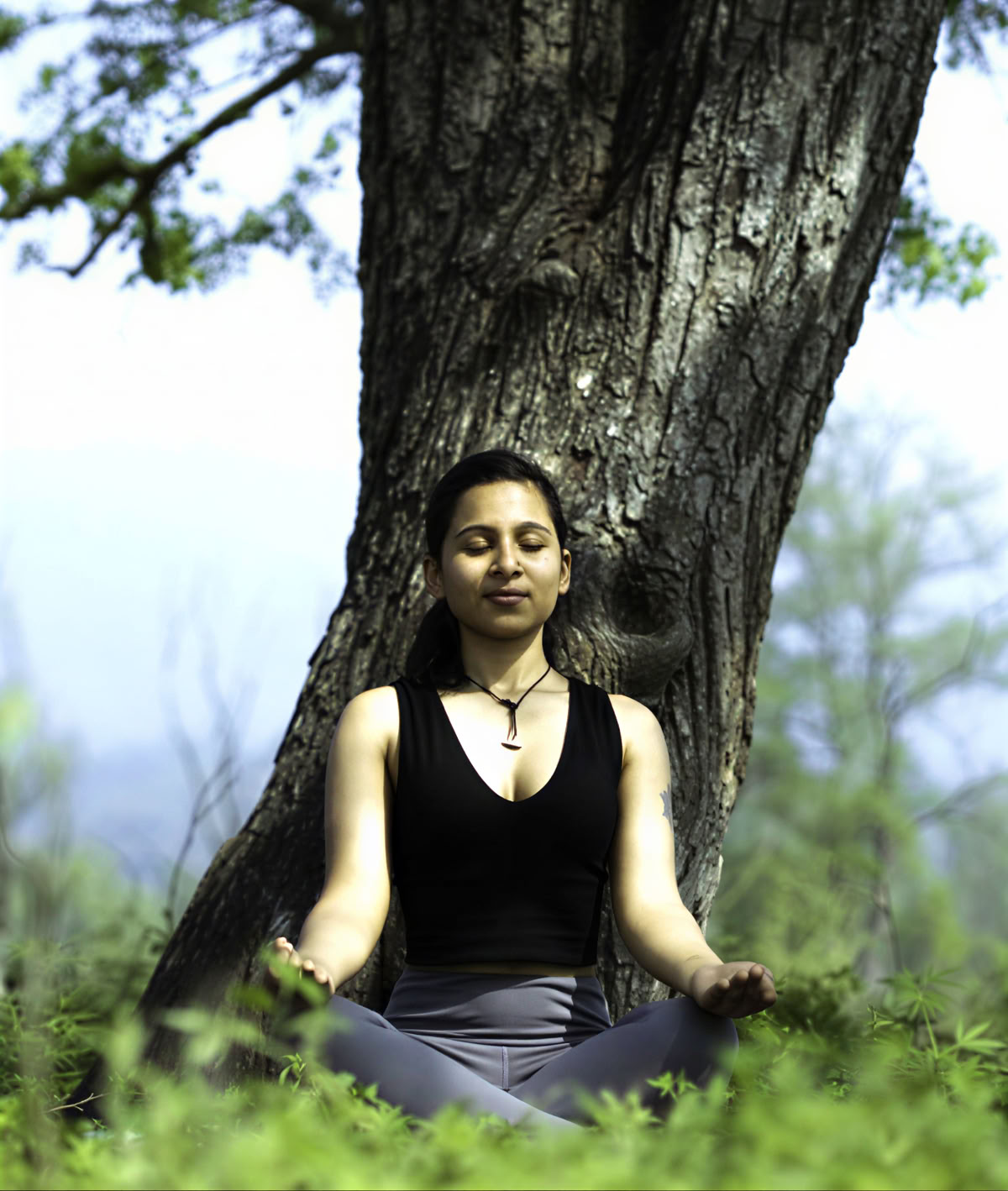 300 Hour Traditional Yoga TTC