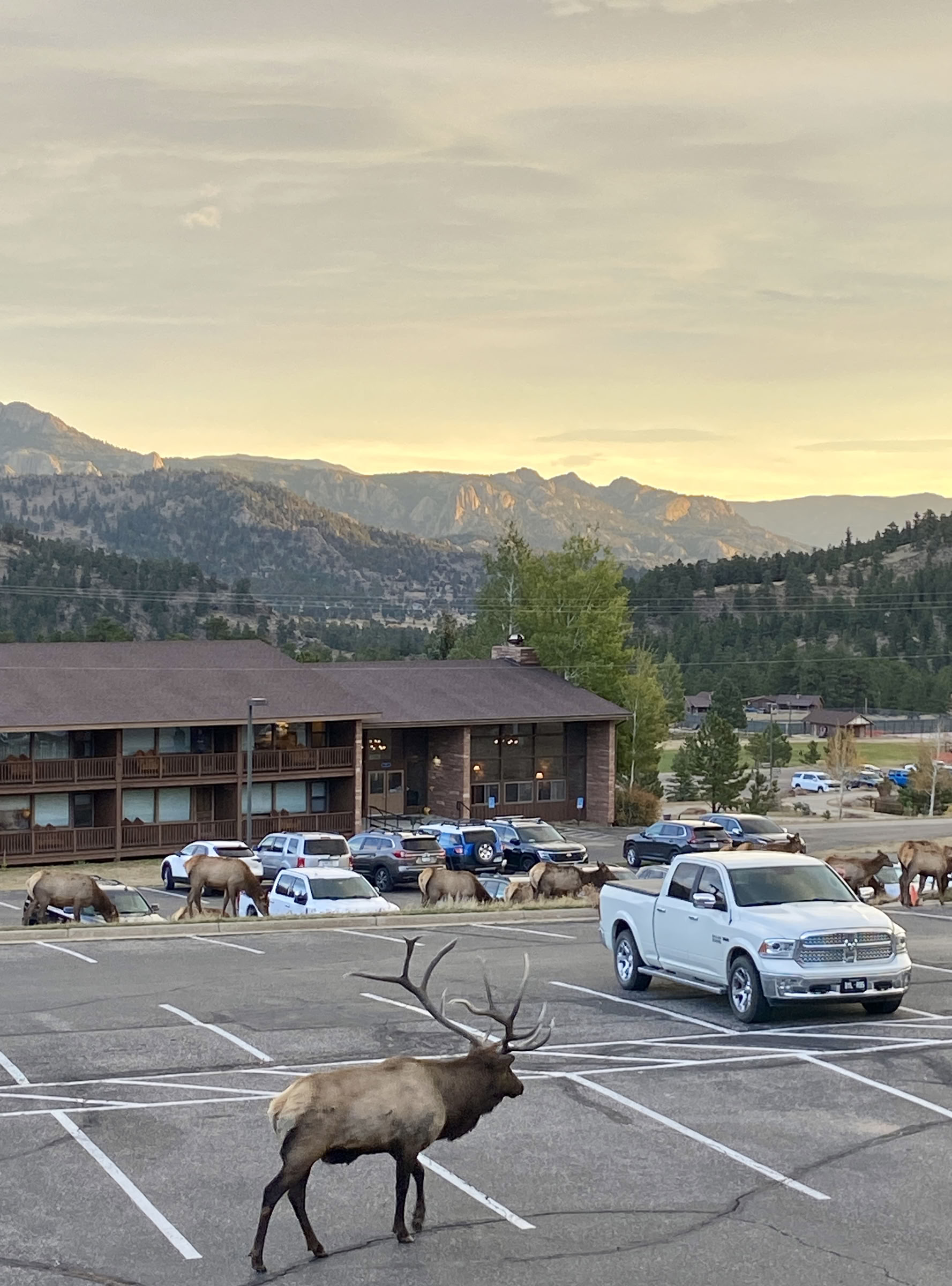 Rocky Mountain Retreat - 5 Day