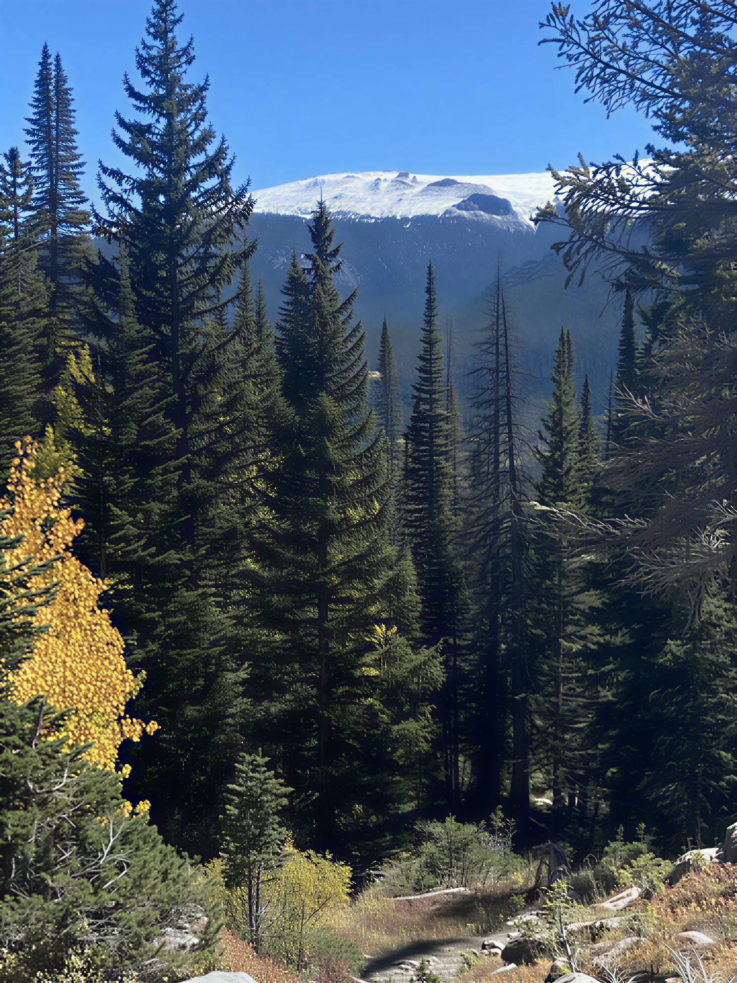 Rocky Mountain Retreat - 5 Day