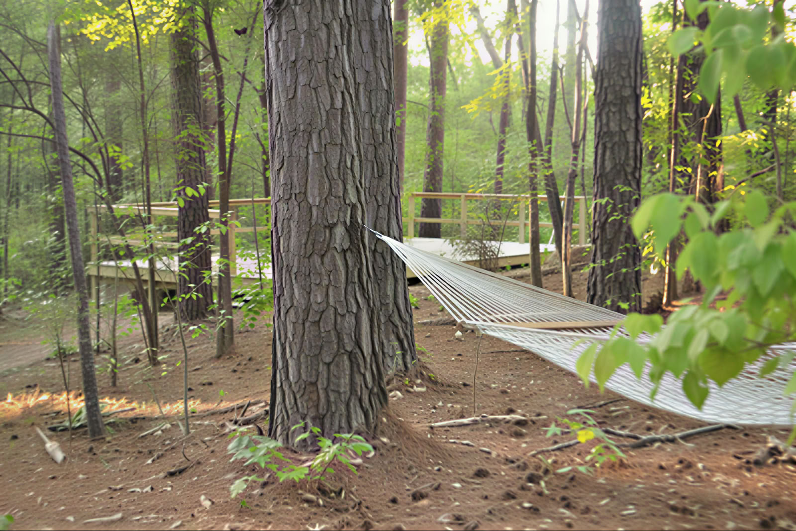 Day Retreats for Groups