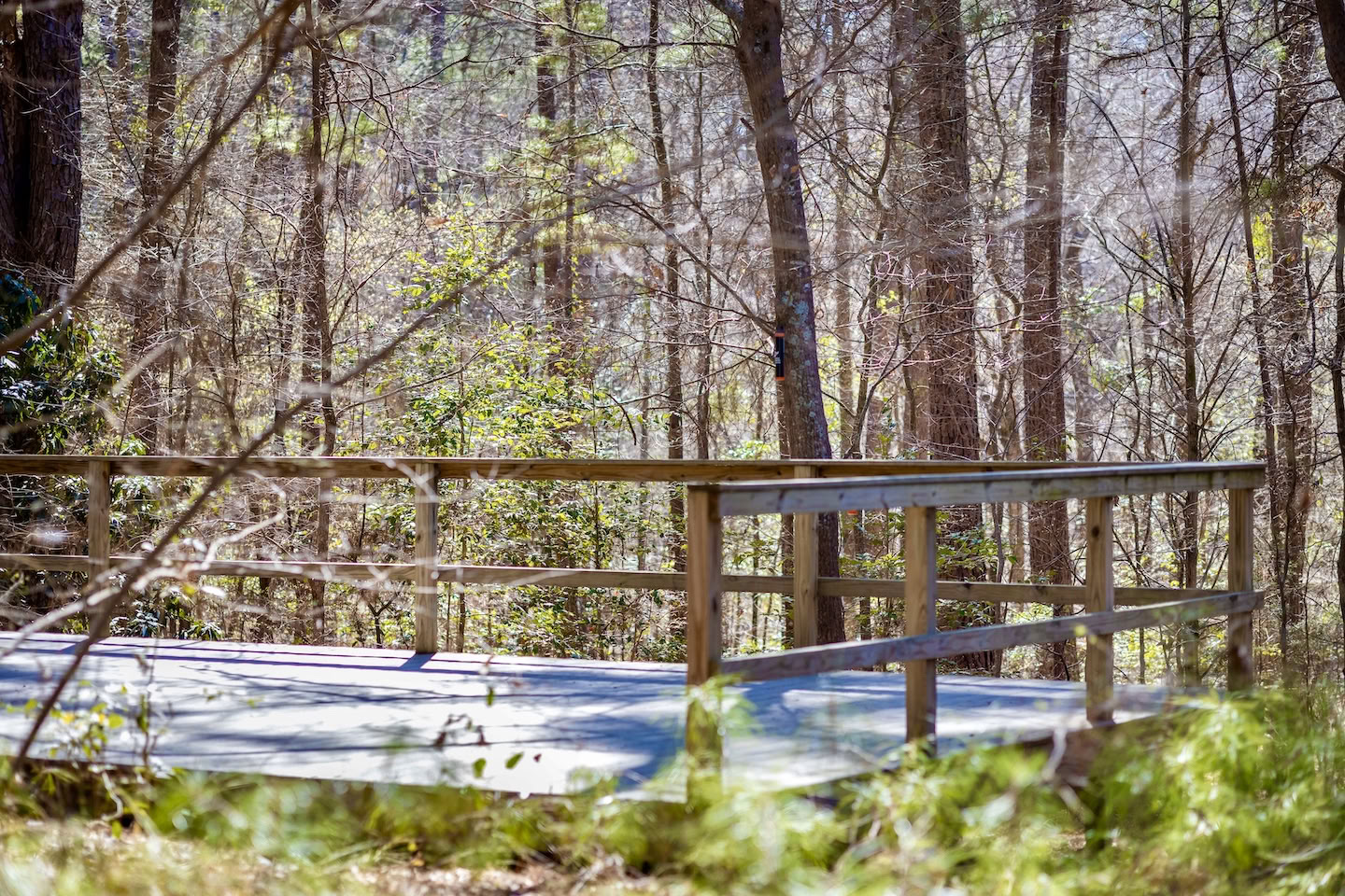 Mindfulness Retreats