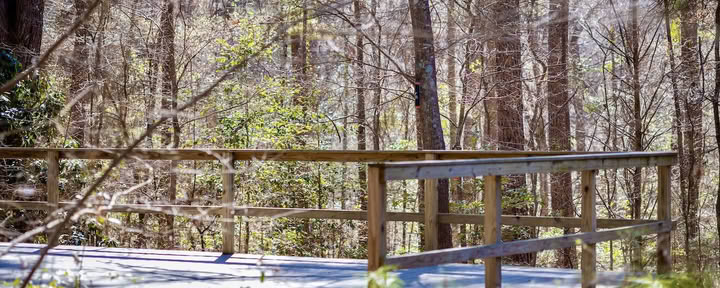 Mindfulness Retreats
