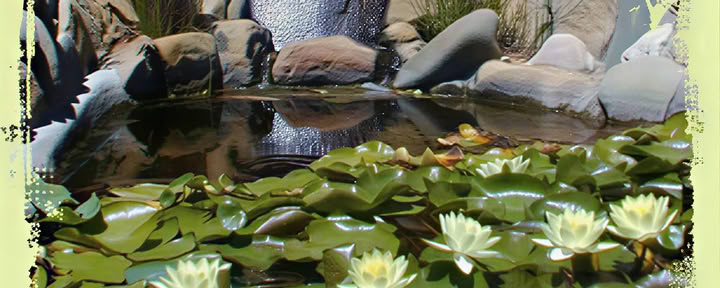 Yoga and the Art of Mindful Cooking