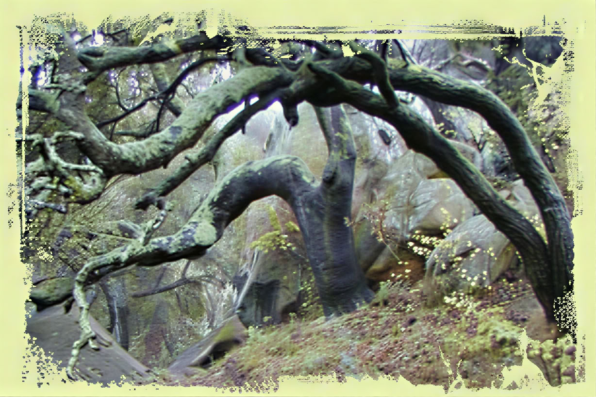 Sanctuary - Personal Meditation Retreat